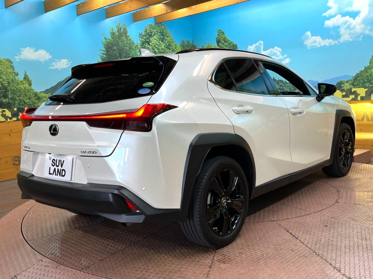 2020 Lexus UX UX200 Special Edition Urban Elegance