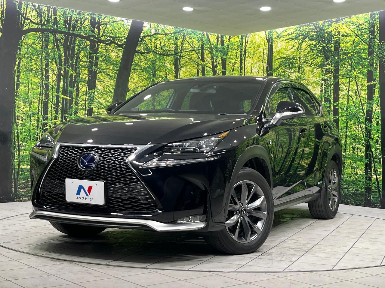 2015 Lexus NX Hybrid NX300h F SPORT