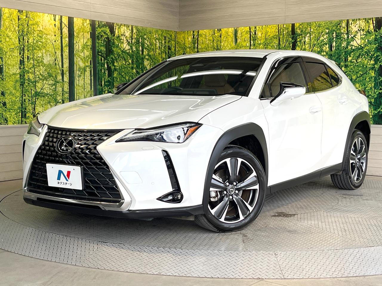 2024 Lexus UX Hybrid UX300h VERSION L