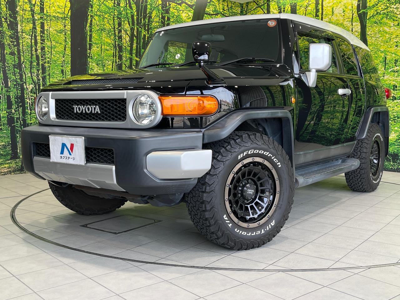 2011 Toyota FJCruiser Color Package