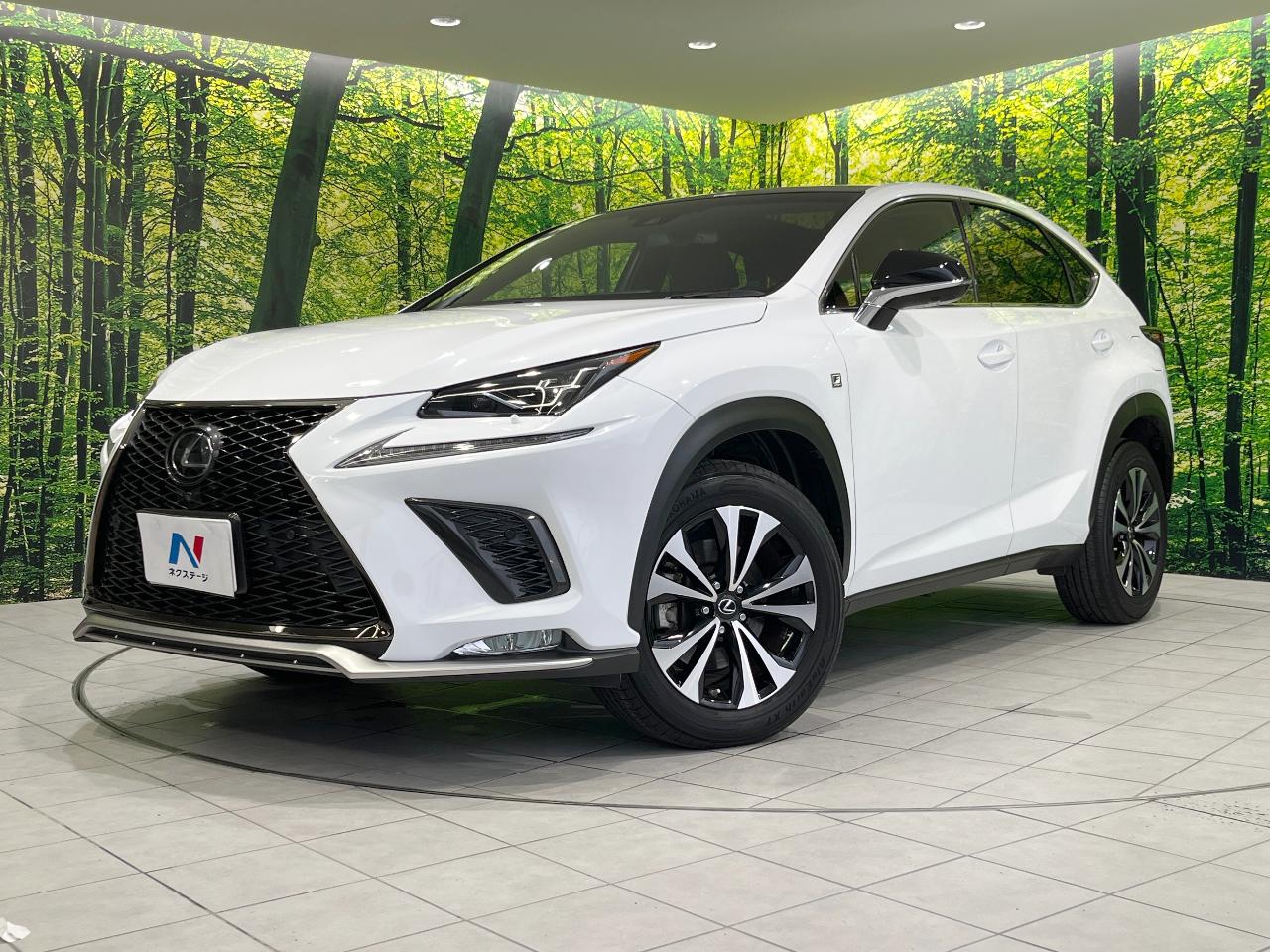 2018 Lexus NX NX300 F Sport