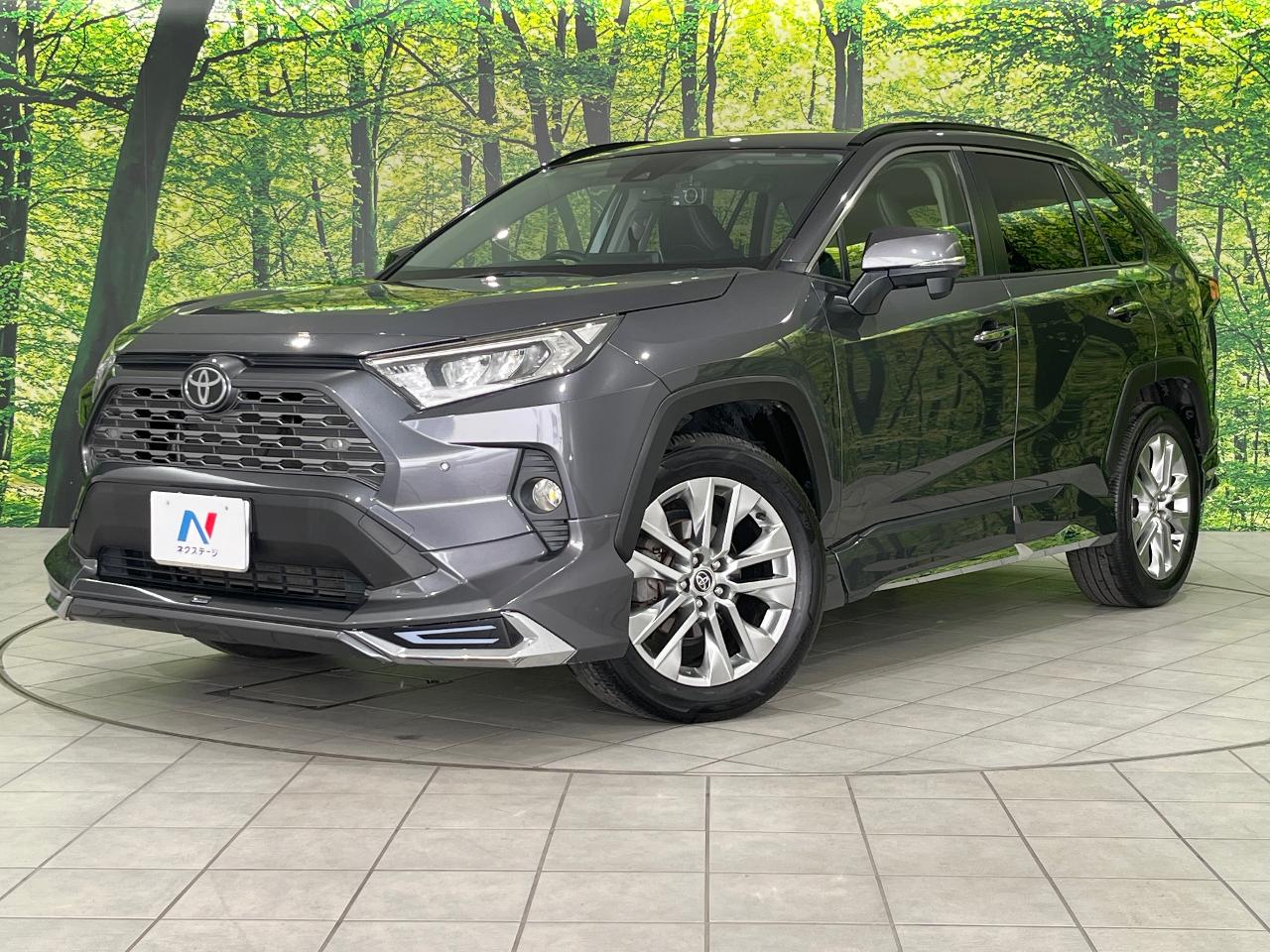 2019 Toyota RAV4 5D G Z Package