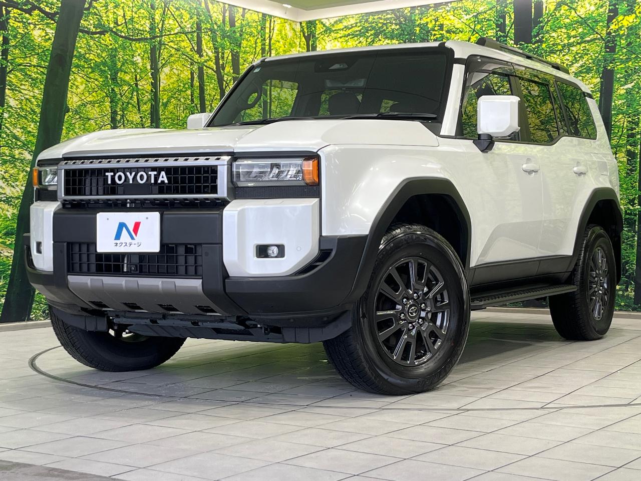 2025 Toyota LandCruiser 250 VX