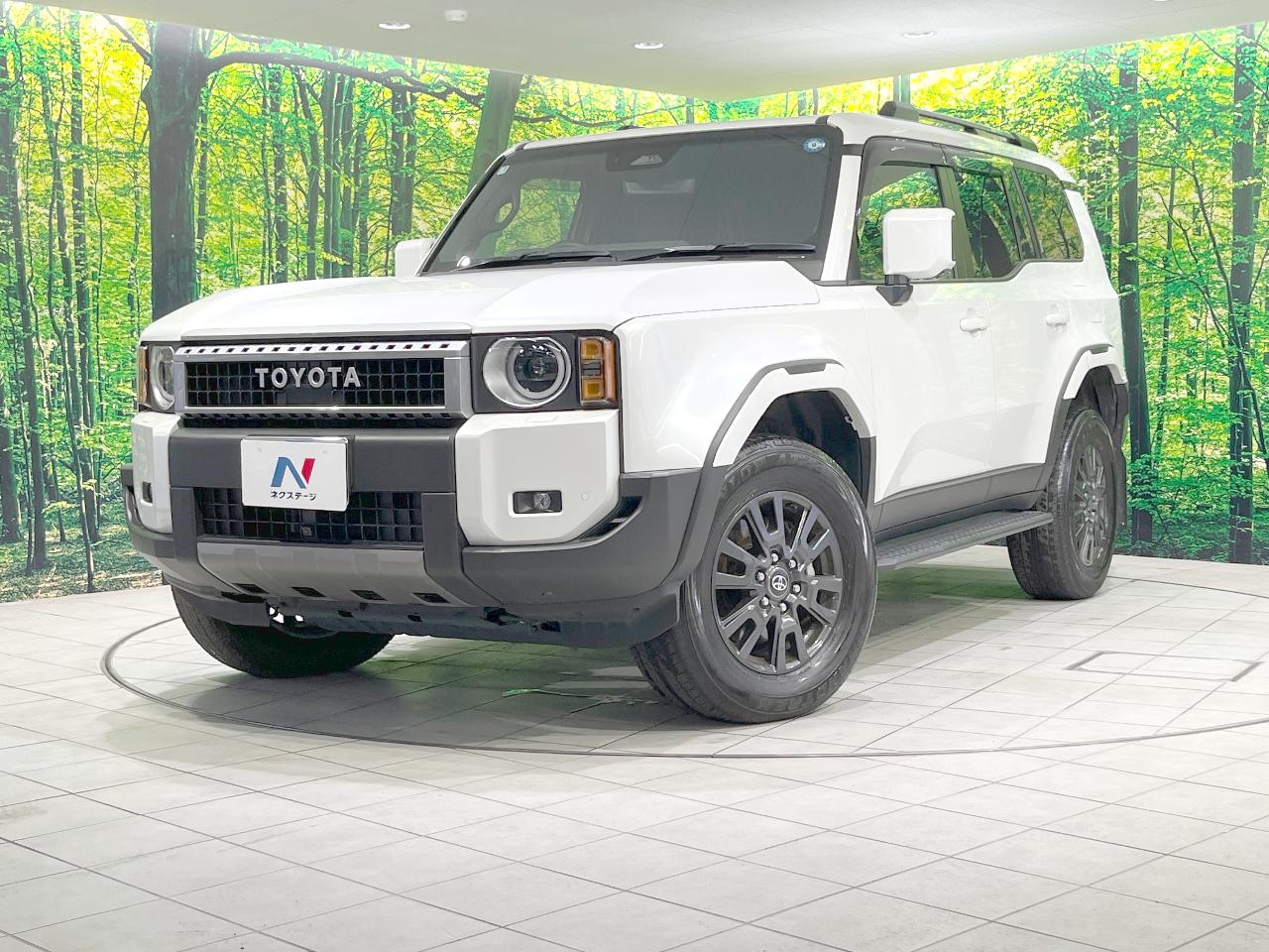 2025 Toyota LandCruiser 250 VX
