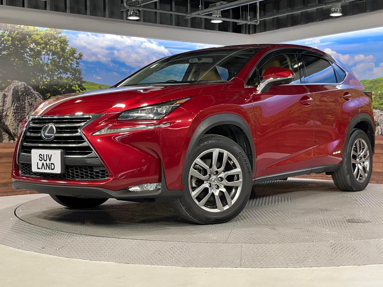 2016 Lexus NX Hybrid NX300h I Package
