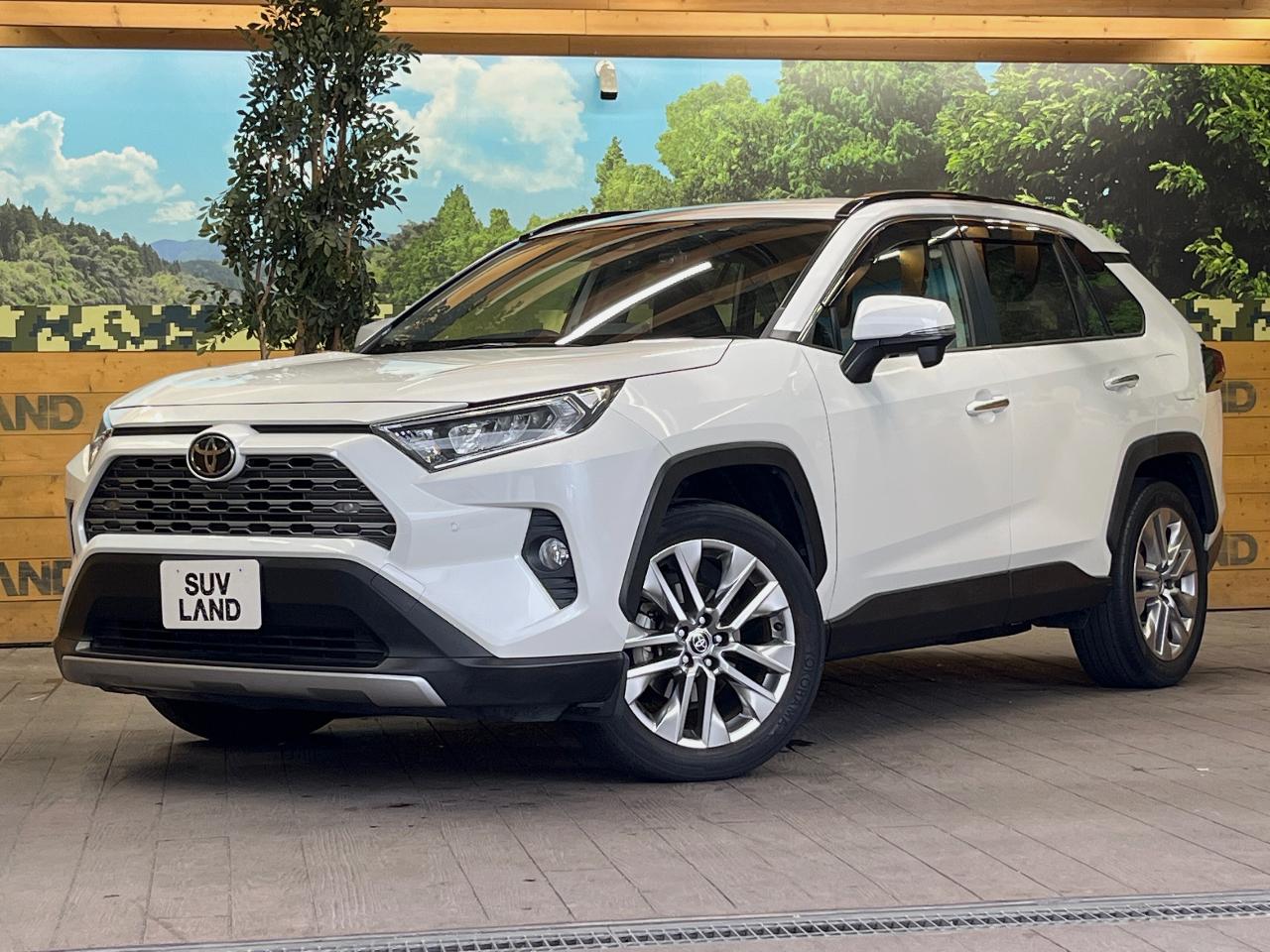 2020 Toyota RAV4 5D G Z Package