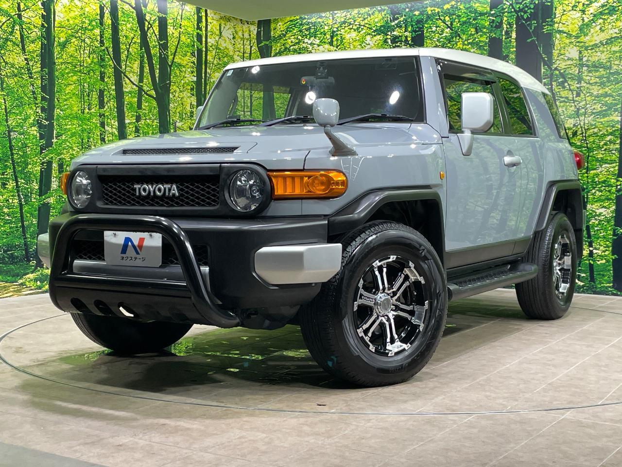 2012 Toyota FJCruiser Color Package