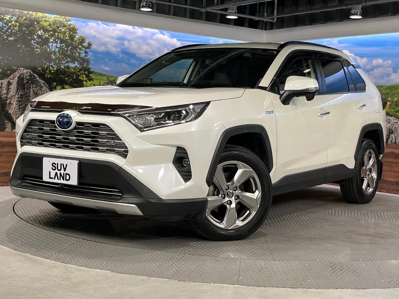 2019 Toyota RAV4 Hybrid Hybrid G