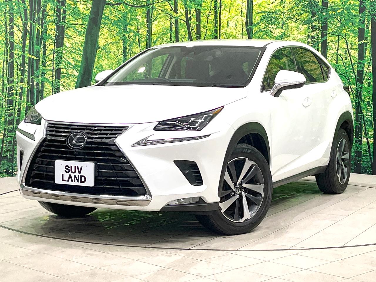 2020 Lexus NX NX300i Package