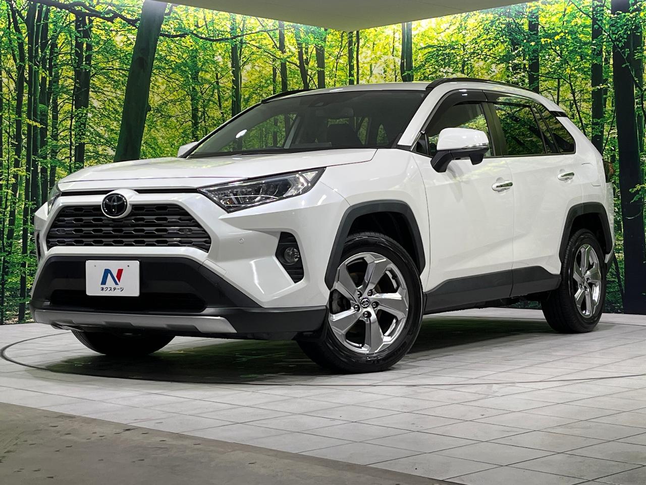 2019 Toyota RAV4 5D G
