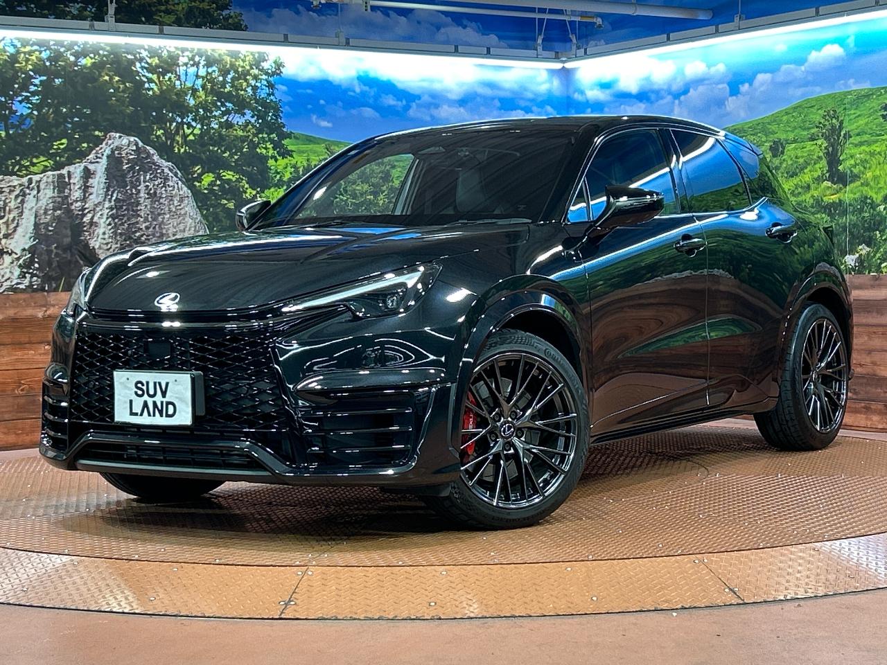 2025 Lexus LBX Morizo RR