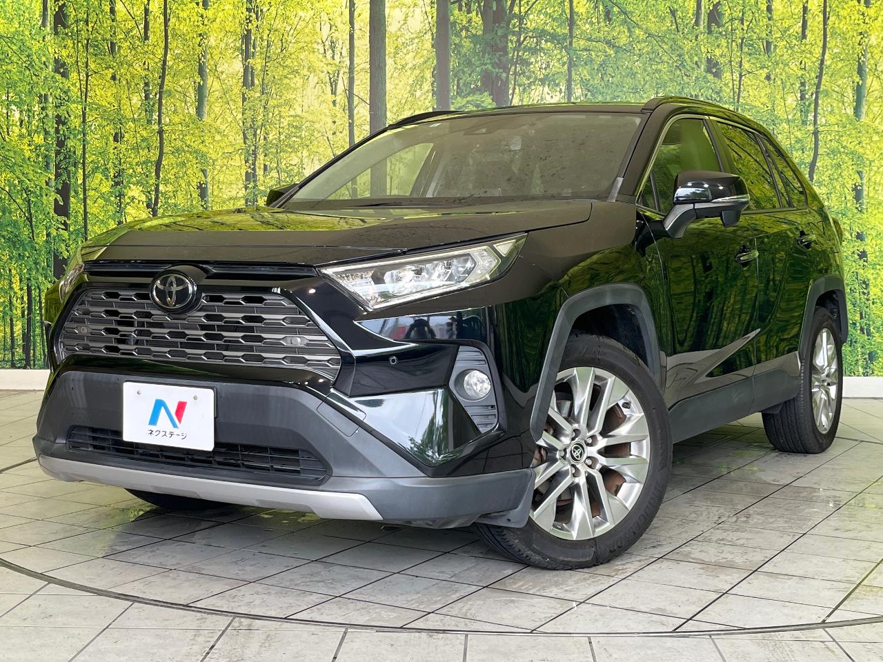 2019 Toyota RAV4 5D G Z Package