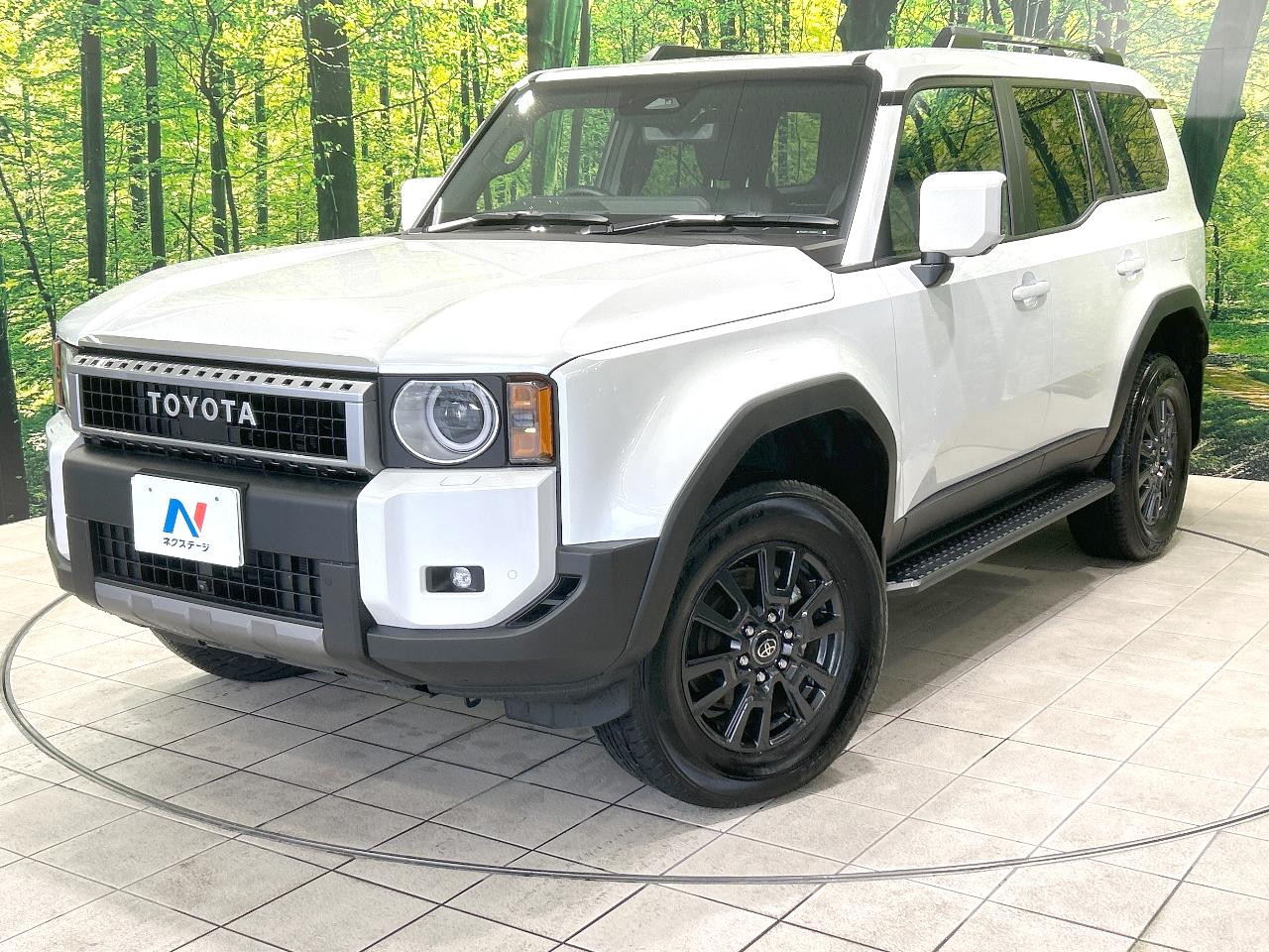 2025 Toyota LandCruiser 250 VX