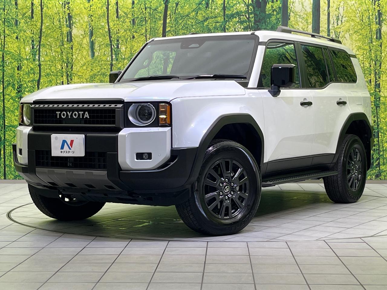 2025 Toyota LandCruiser 250 VX