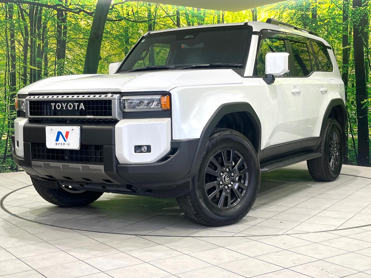 2025 Toyota LandCruiser 250 VX