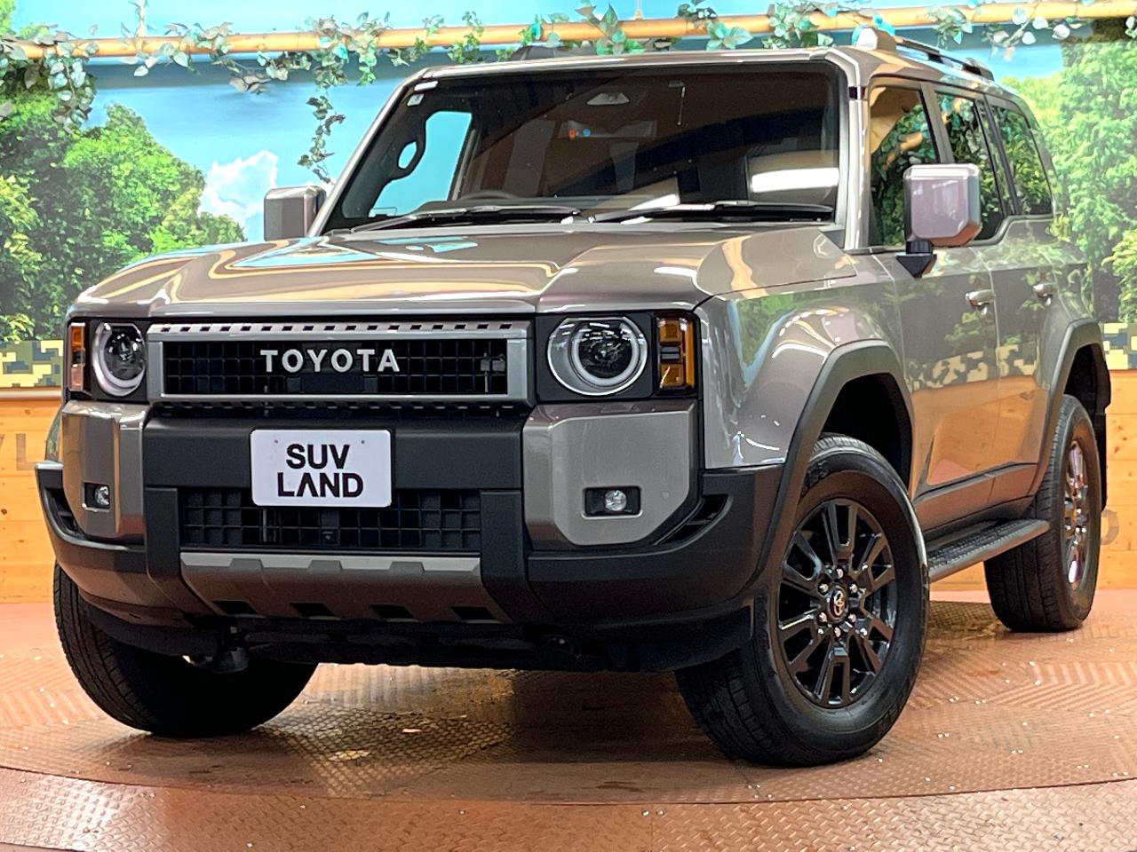 2025 Toyota LandCruiser 250 VX