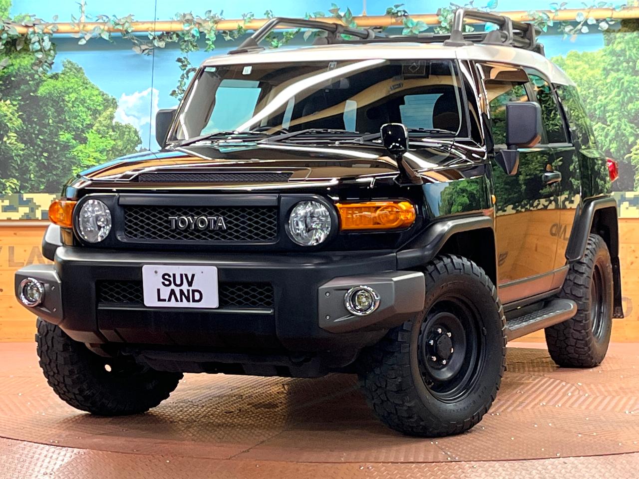 2017 Toyota FJCruiser Black Color Package