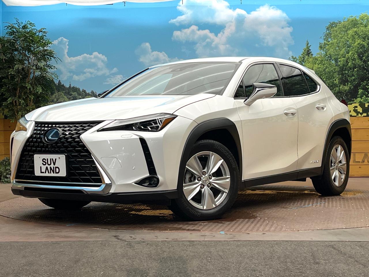 2019 Lexus UX Hybrid UX250h VERSION C