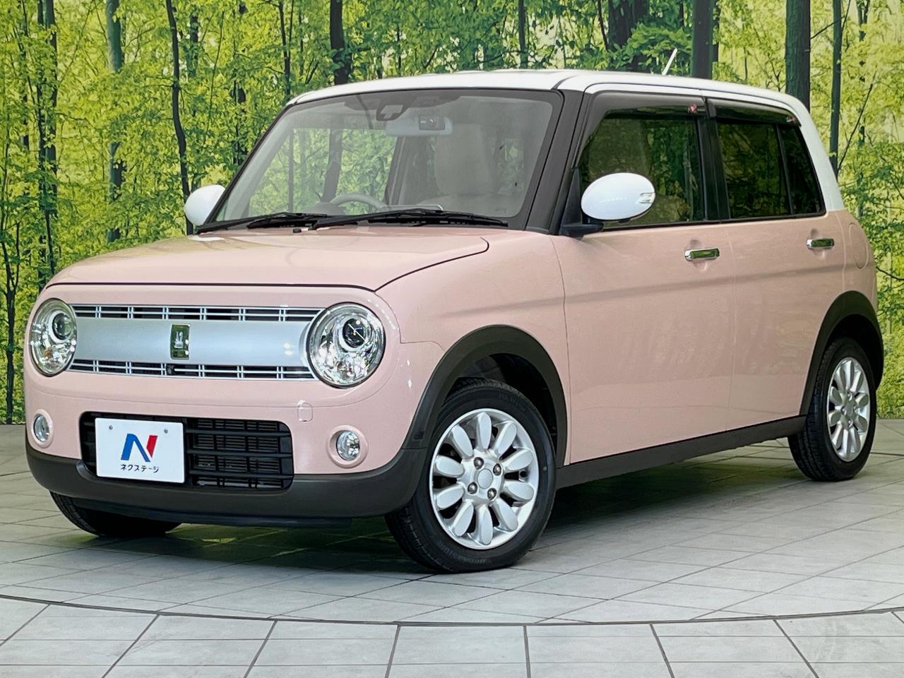 2017 Suzuki Alto Lapin X