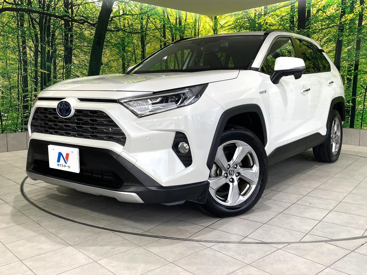 2019 Toyota RAV4 Hybrid Hybrid G