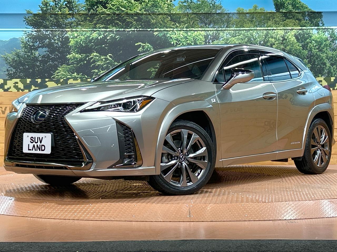 2019 Lexus UX Hybrid UX250h F SPORT