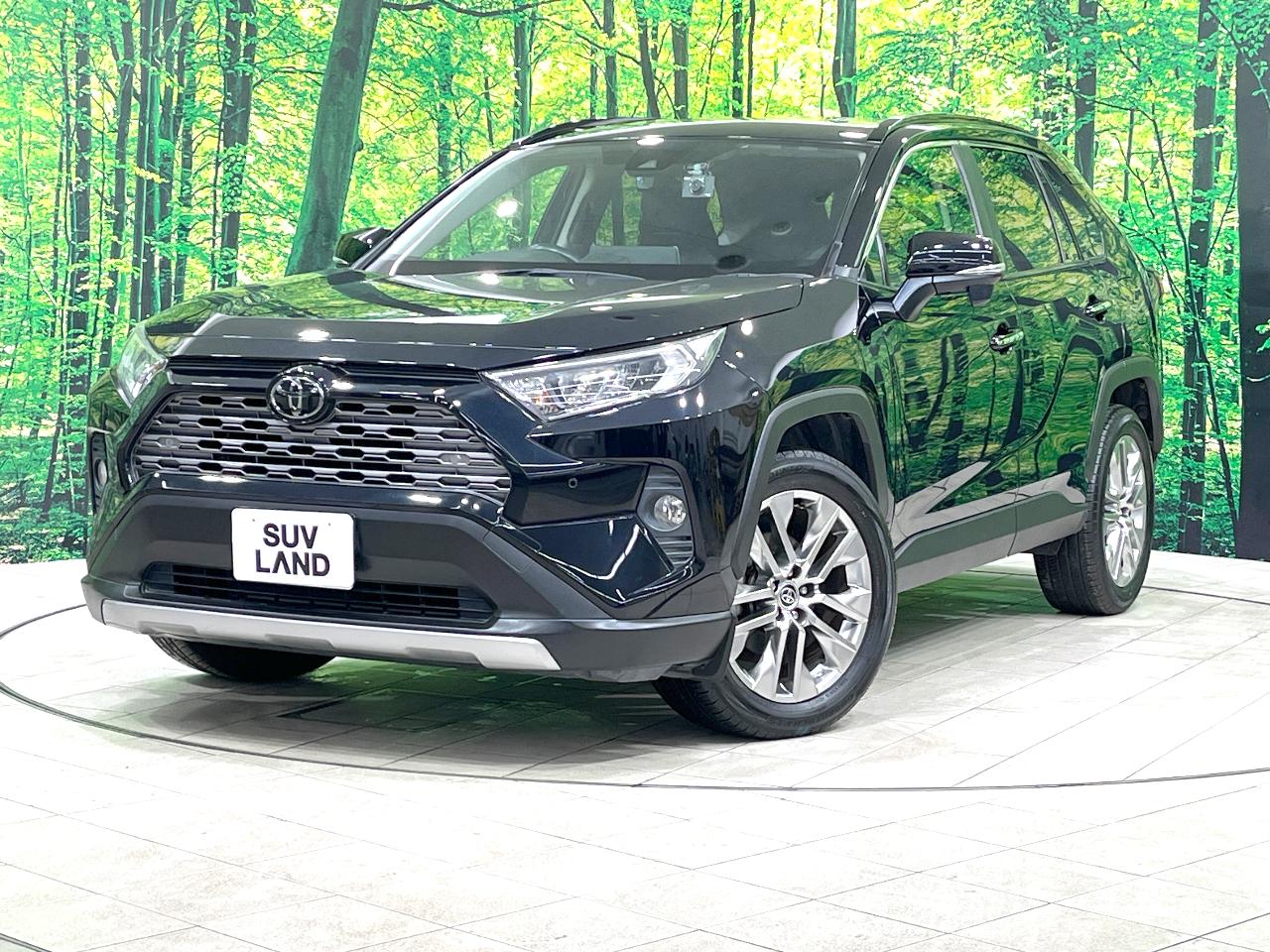 2019 Toyota RAV4 5D G Z Package