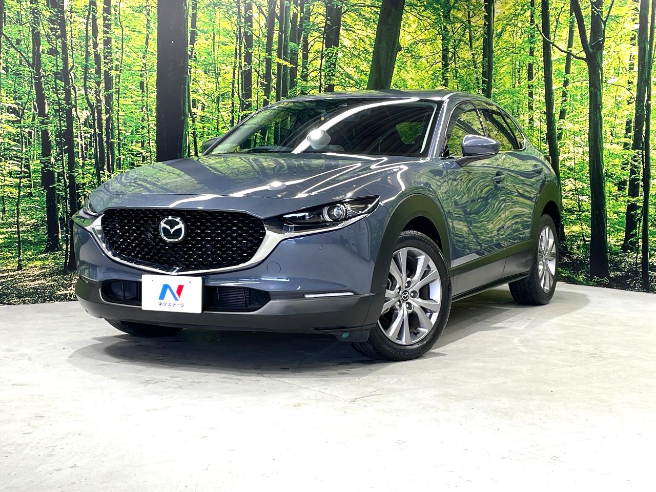 2019 Mazda CX-30 20S Proactive Touring Selection
