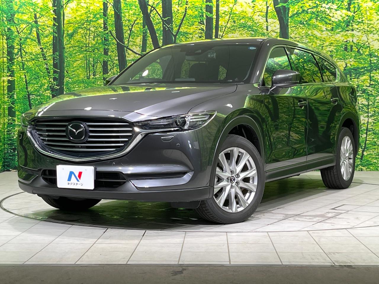 2018 Mazda CX-8 XD Proactive