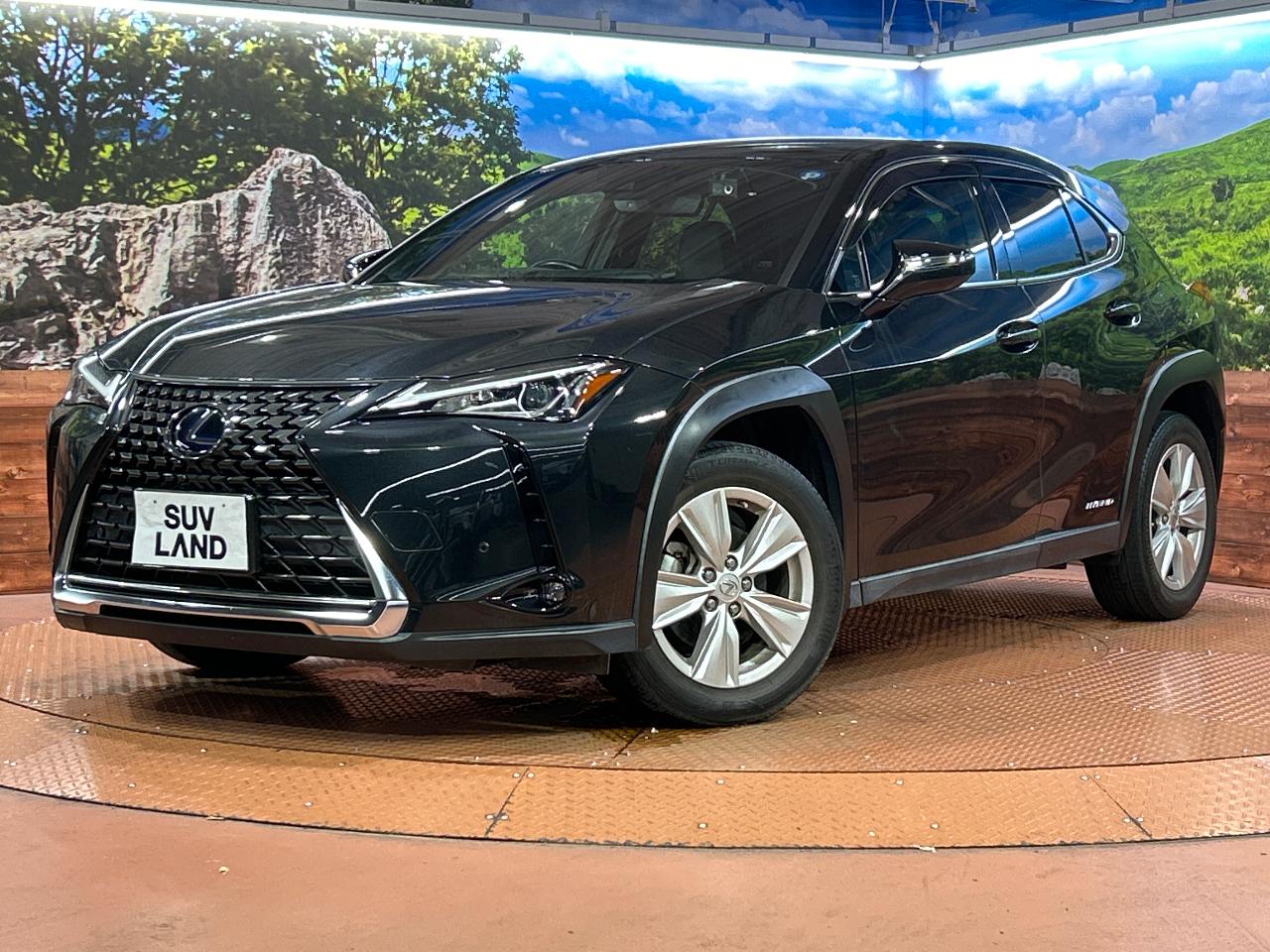 2021 Lexus UX Hybrid UX250h