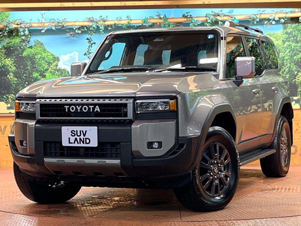 2025 Toyota LandCruiser 250 VX
