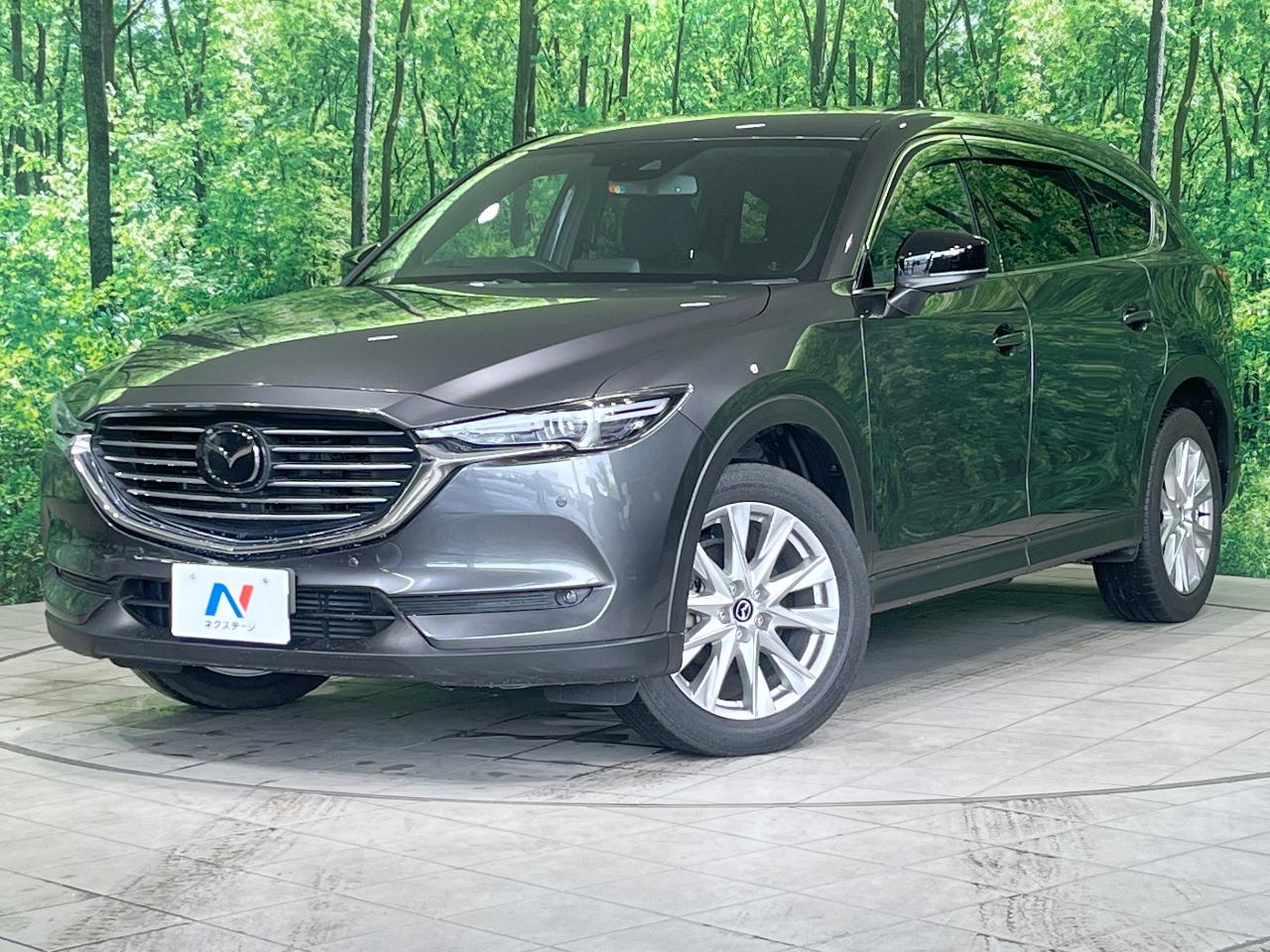 2017 Mazda CX-8 XD Proactive