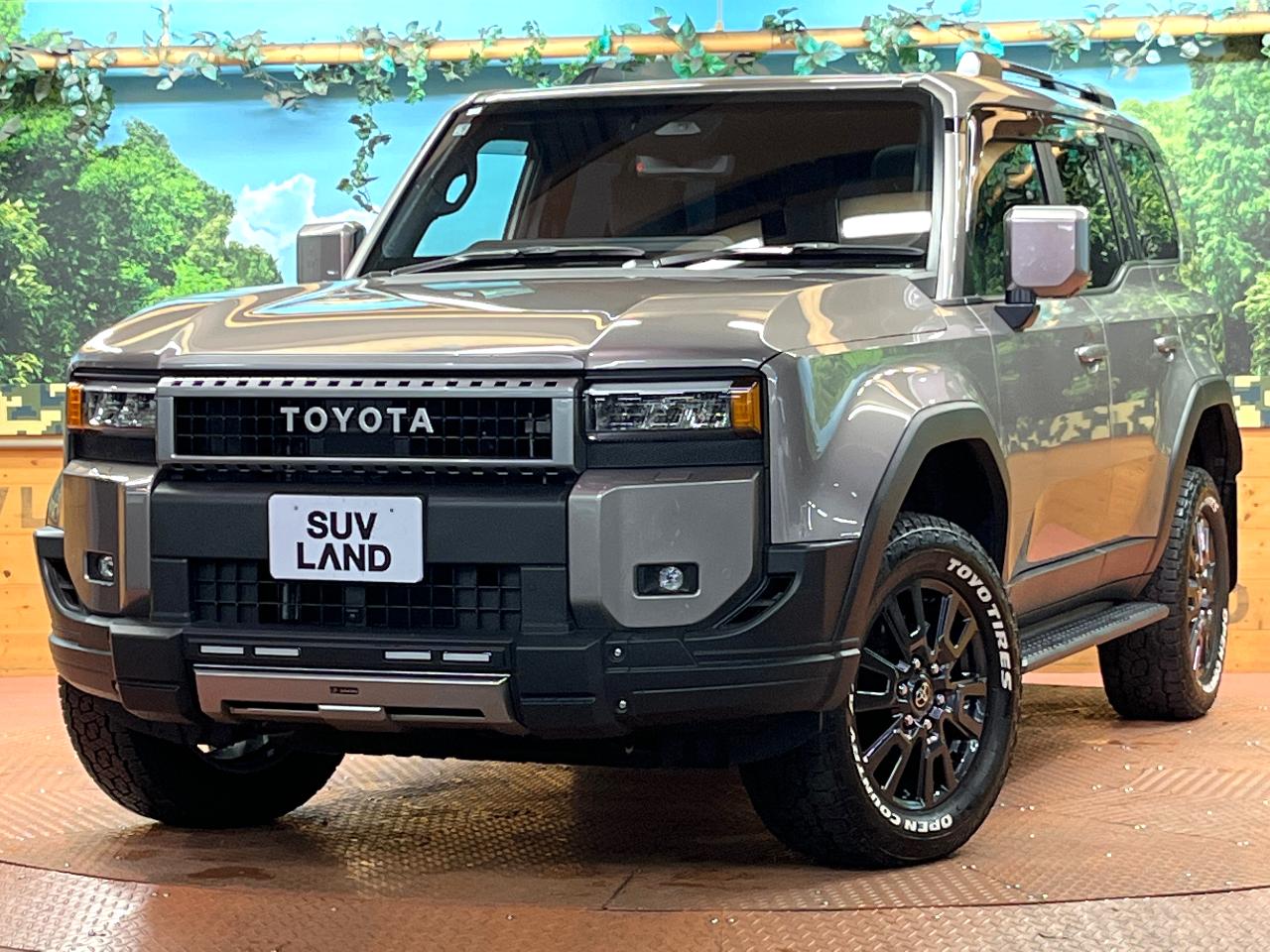2025 Toyota LandCruiser 250 VX