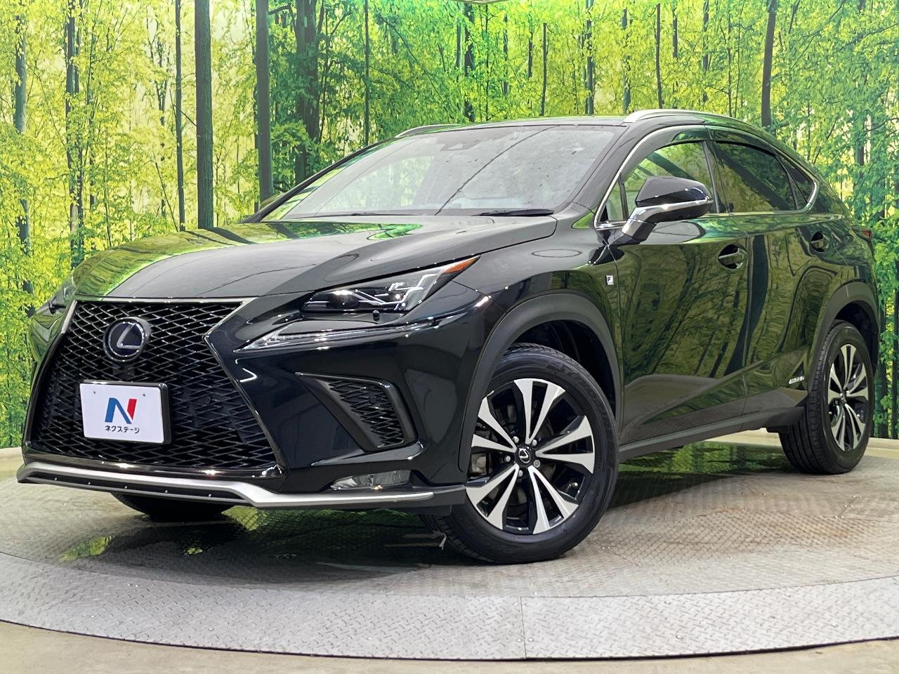 2019 Lexus NX Hybrid NX300h F SPORT
