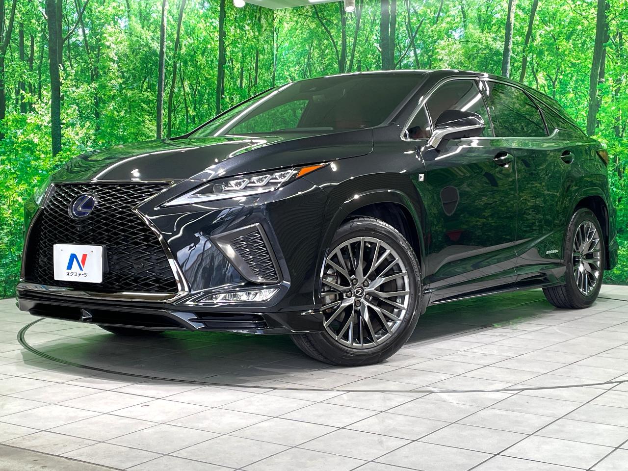 2022 Lexus RX Hybrid RX450h F SPORT
