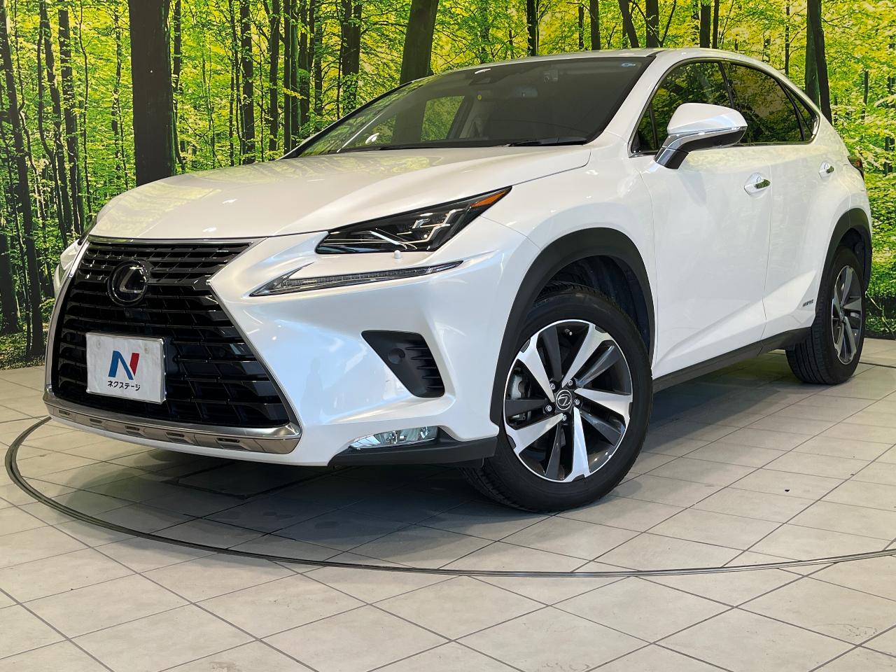 2020 Lexus NX Hybrid NX300h Version L