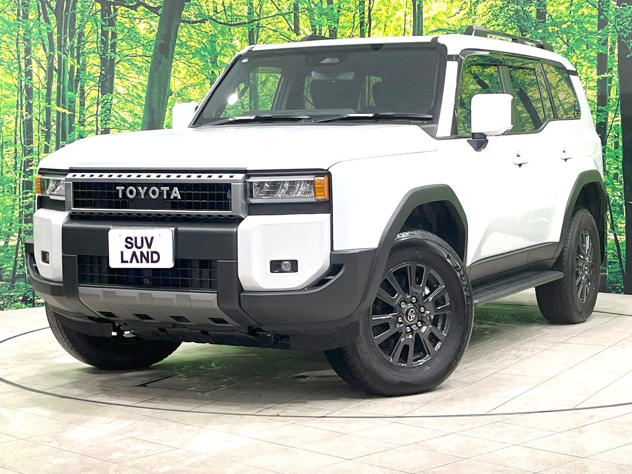 2025 Toyota LandCruiser 250 VX