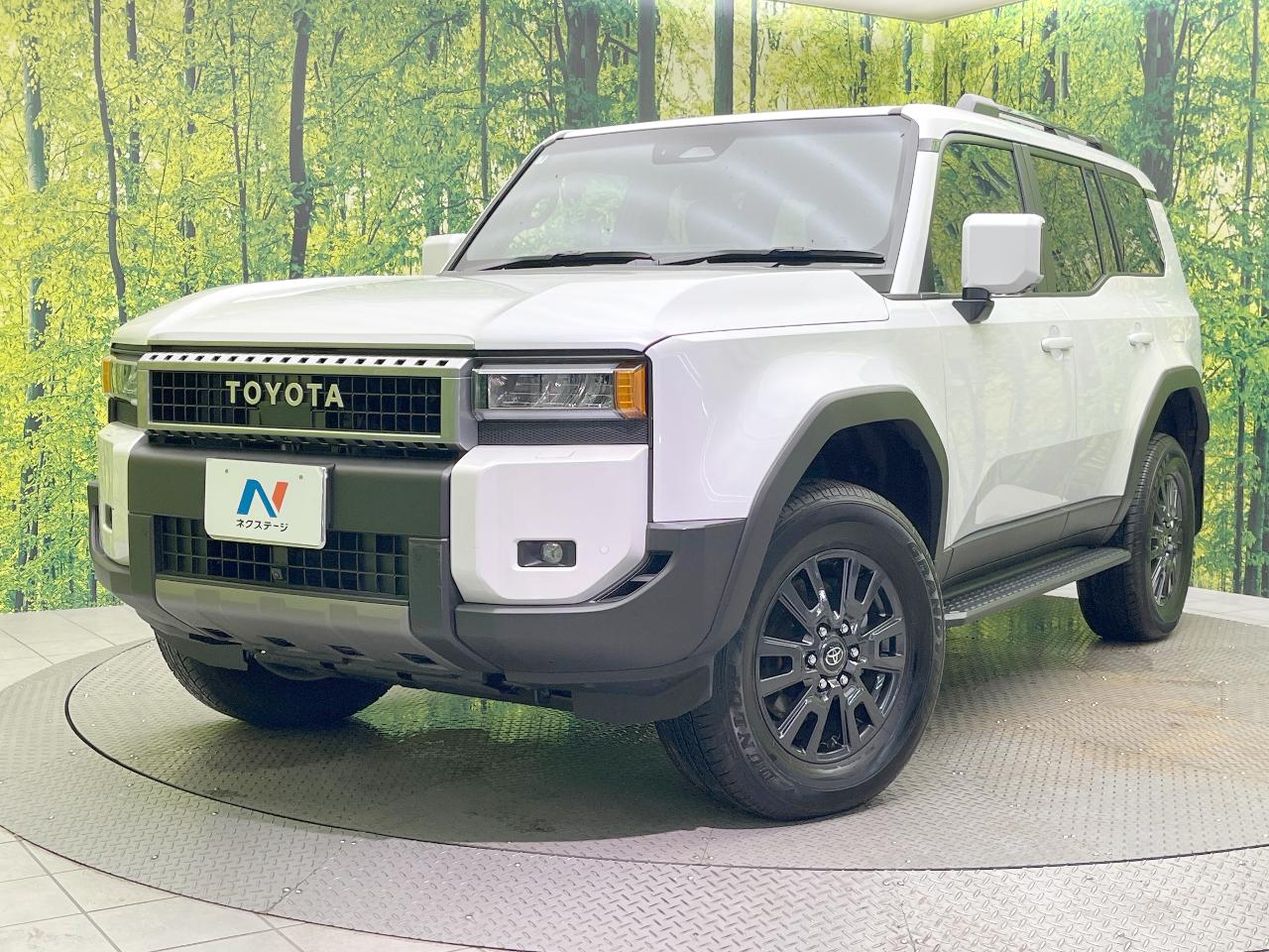 2025 Toyota LandCruiser 250 VX