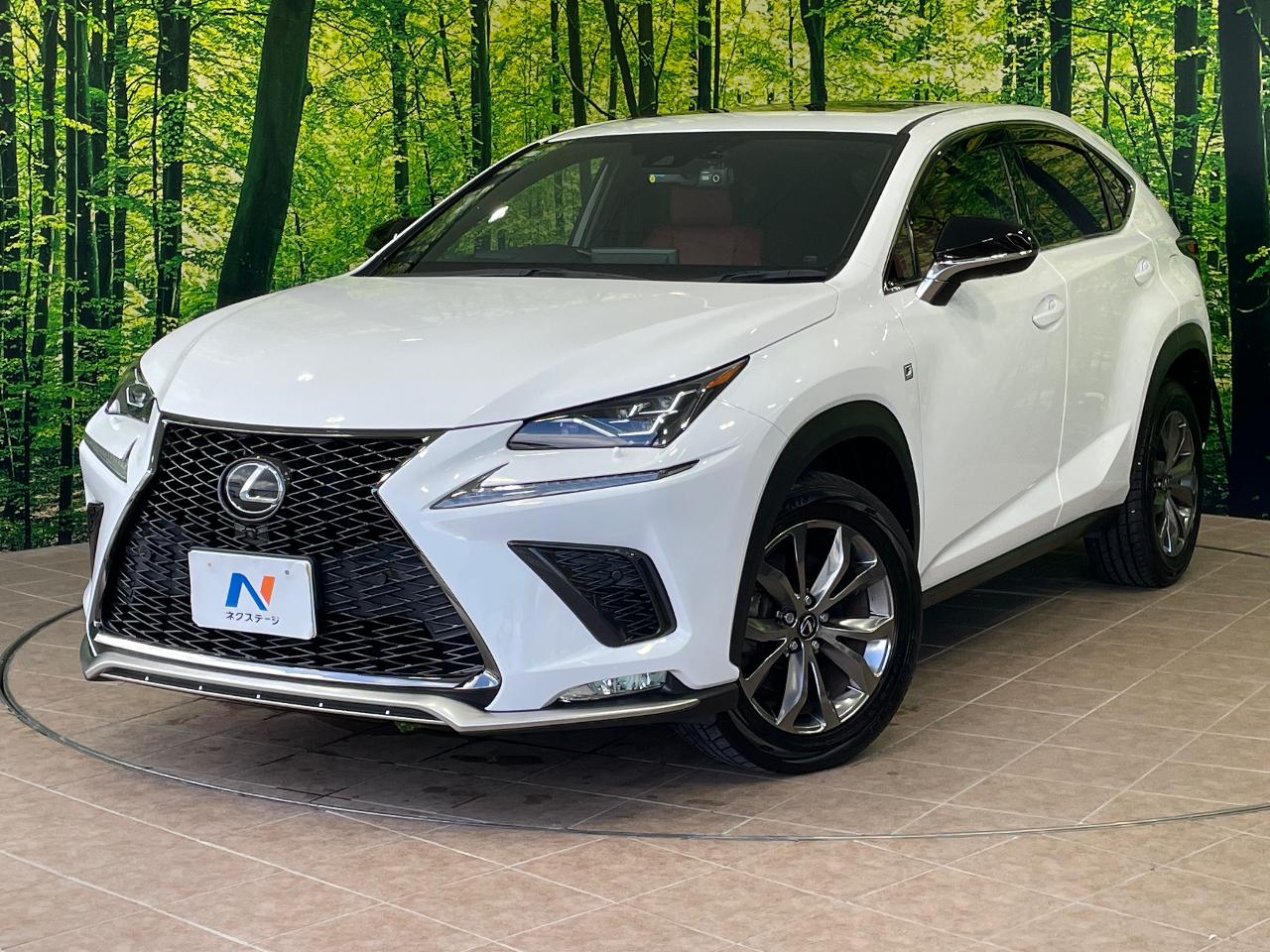 2020 Lexus NX NX300 F Sport