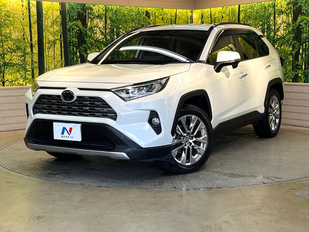 2019 Toyota RAV4 5D G Z Package