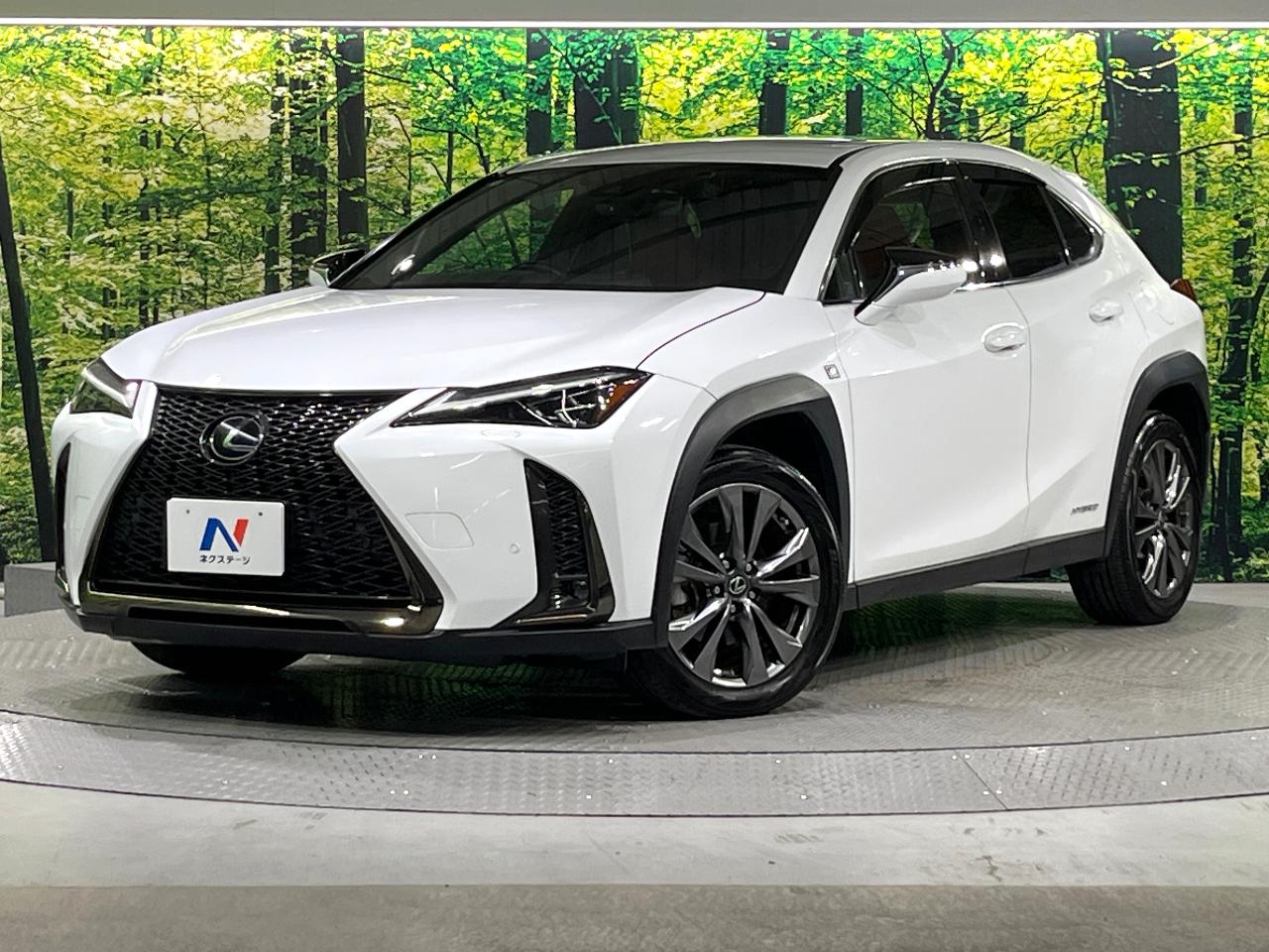 2020 Lexus UX Hybrid UX250h F SPORT
