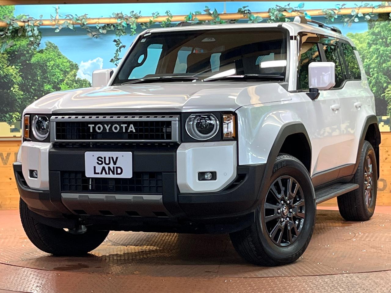 2025 Toyota LandCruiser 250 VX