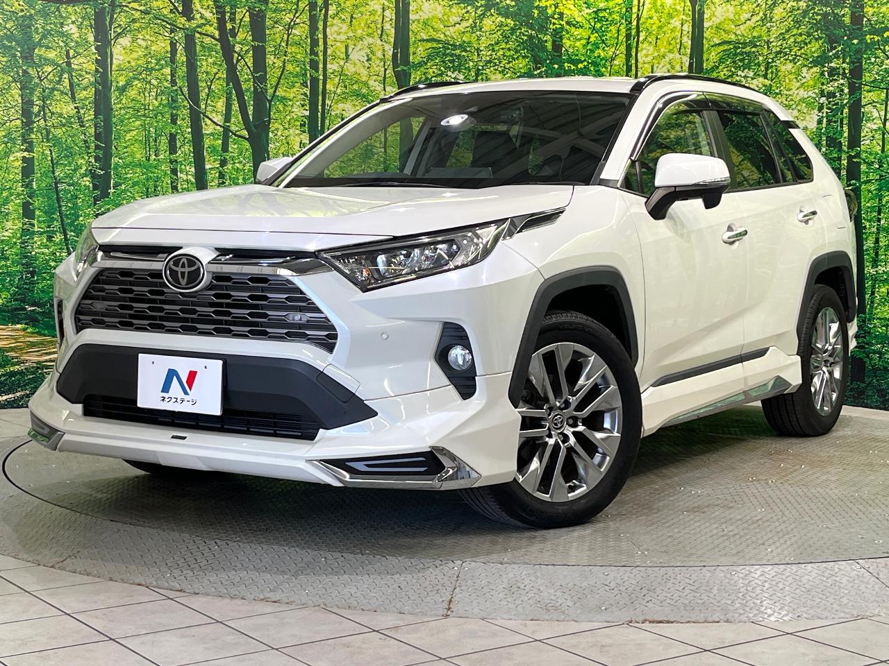 2019 Toyota RAV4 5D G Z Package