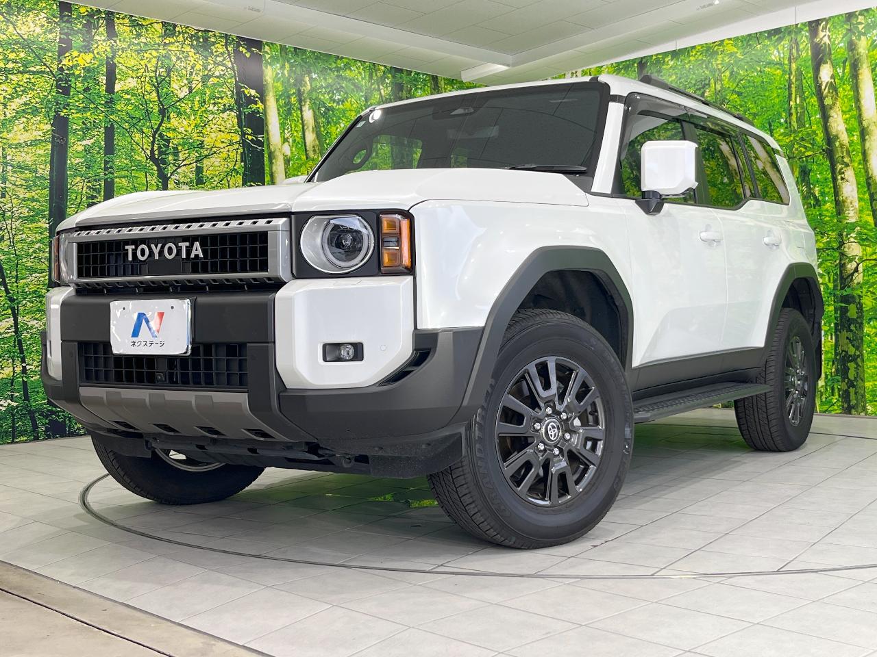 2024 Toyota LandCruiser 250 VX