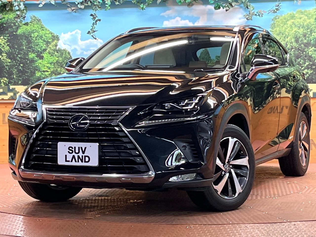 2018 Lexus NX Hybrid NX300h Version L