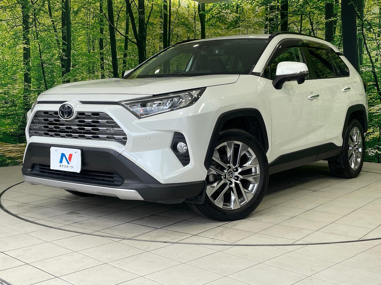 2020 Toyota RAV4 5D G Z Package