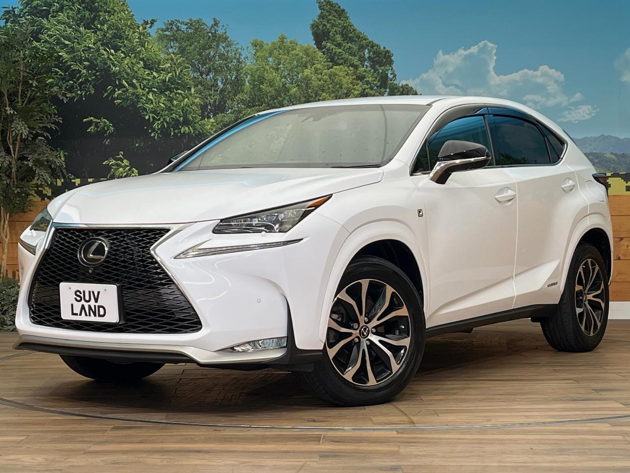 2015 Lexus NX Hybrid NX300h F SPORT