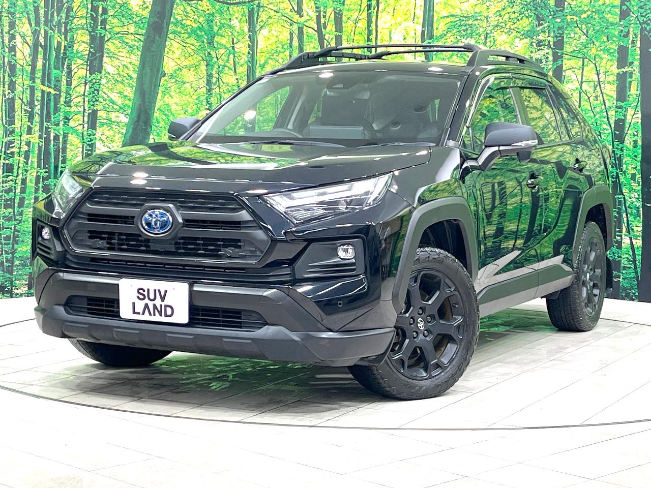 2022 Toyota RAV4 Hybrid Hybrid Adventure Offroad Package II