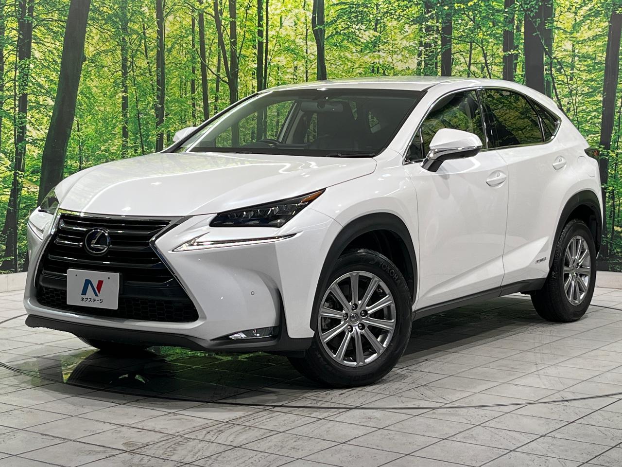 2016 Lexus NX Hybrid NX300h I Package