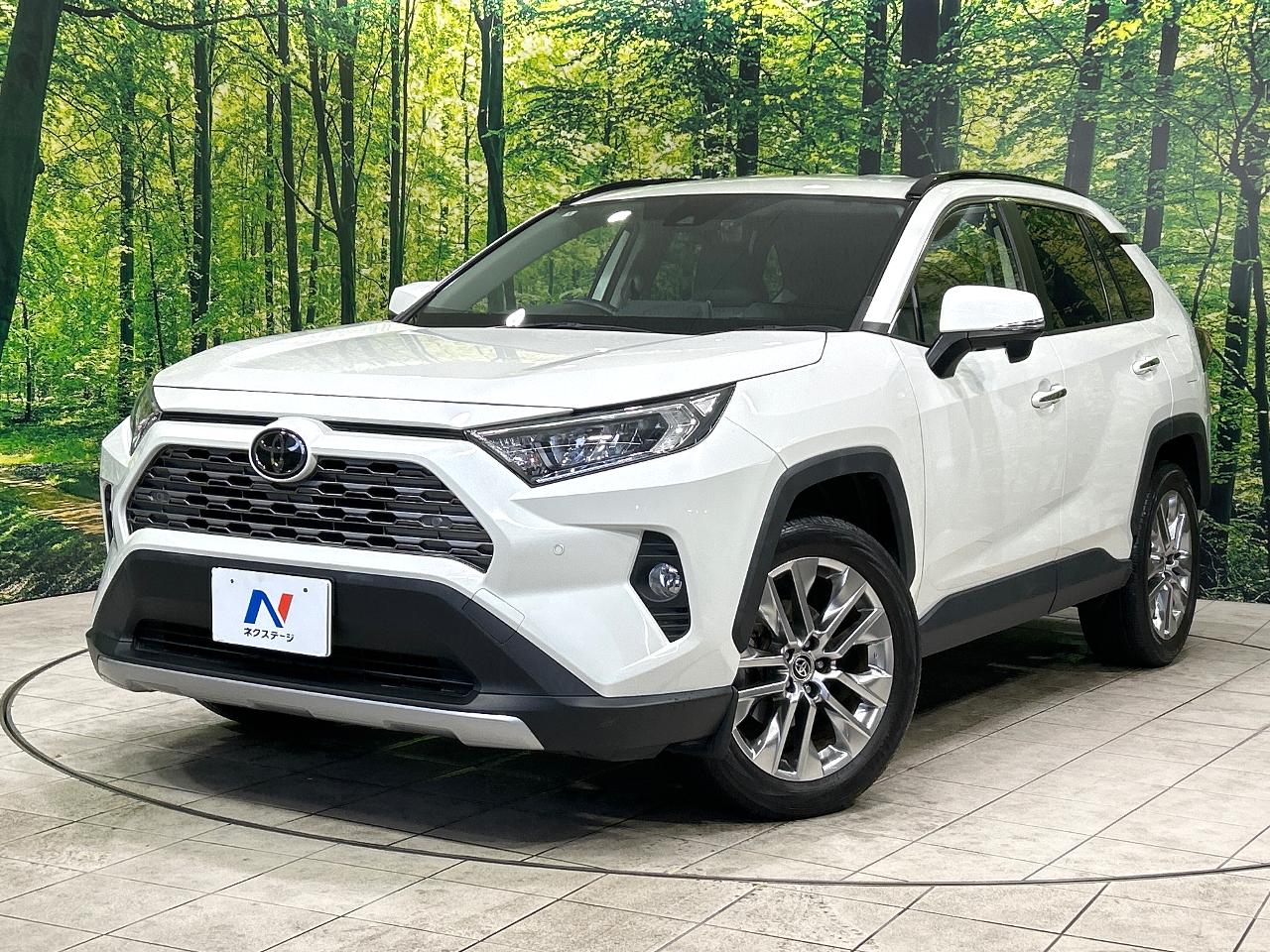 2020 Toyota RAV4 5D G Z Package