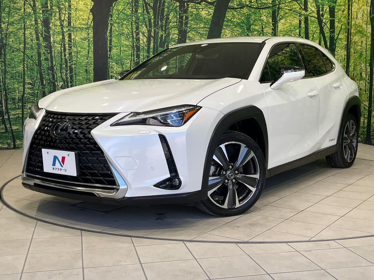 2019 Lexus UX Hybrid UX250h VERSION L